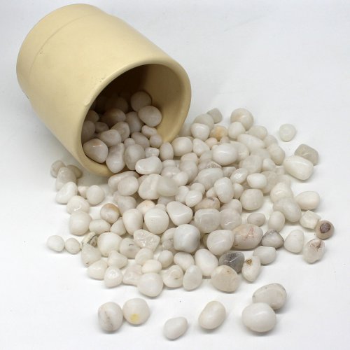 White Coloured Pebbles | Stones for Plant decor