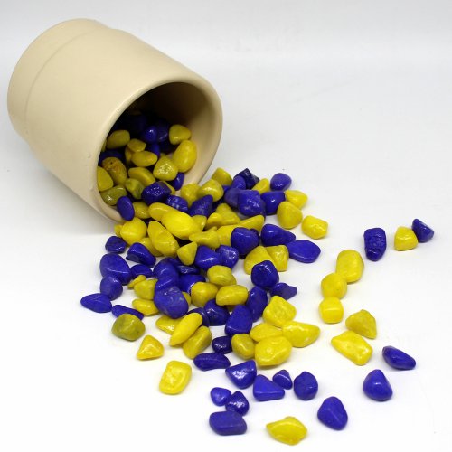 Yellow and Dark Blue Coloured Stones | Plant Decor Pebbles