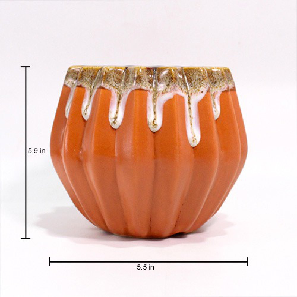 Urbanroots Horcrux Ceramic Pot | Decorative Indoor Ceramic Pots for Plants