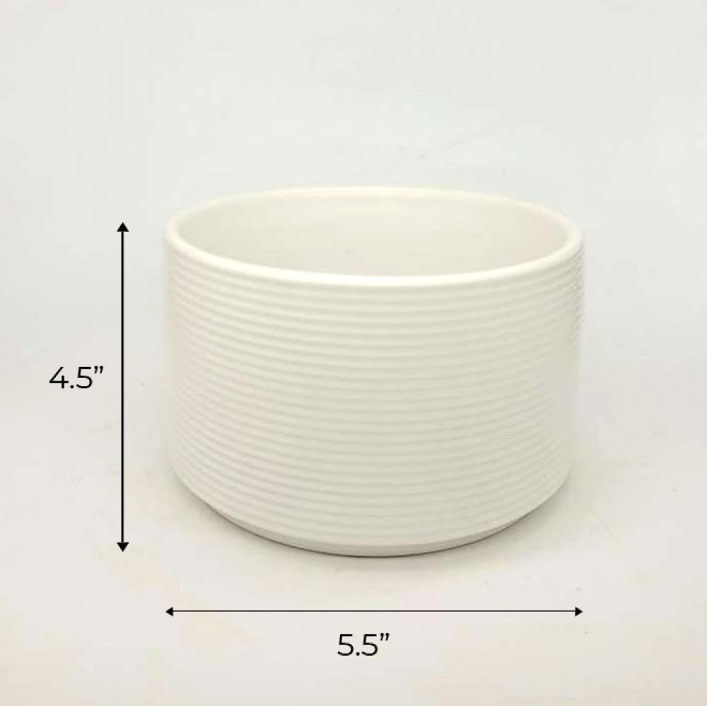 White Ceramic Planter For Indoor Plants