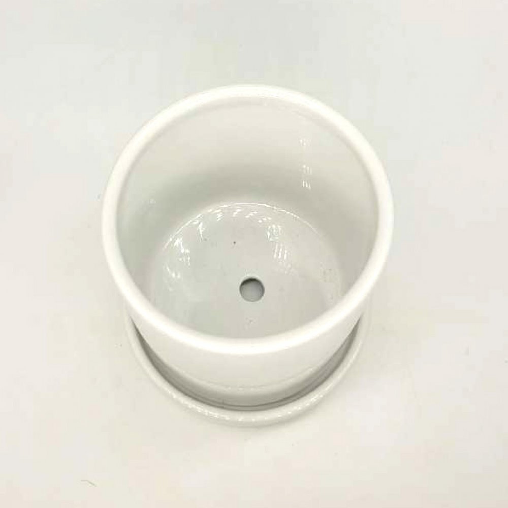 White Ceramic Pot For Flowering Plants