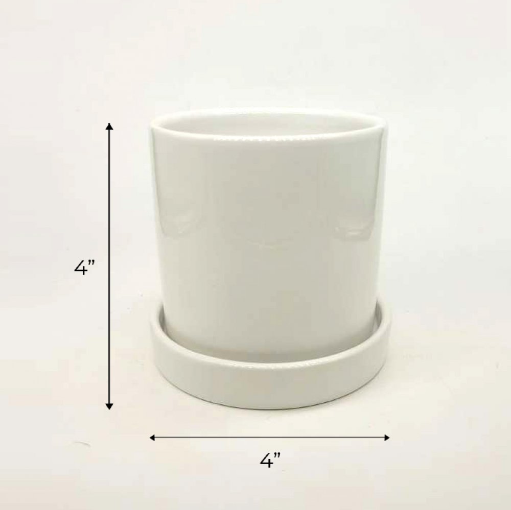 White Ceramic Pot For Flowering Plants